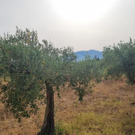 Il Tramonto Dorato *